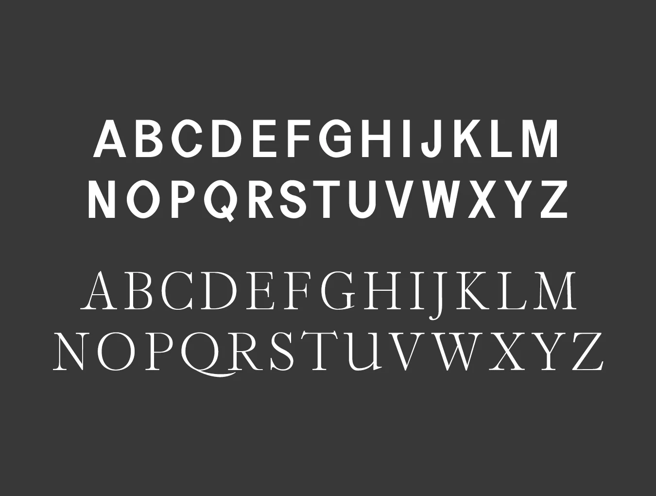 Perkin Duo Font 2