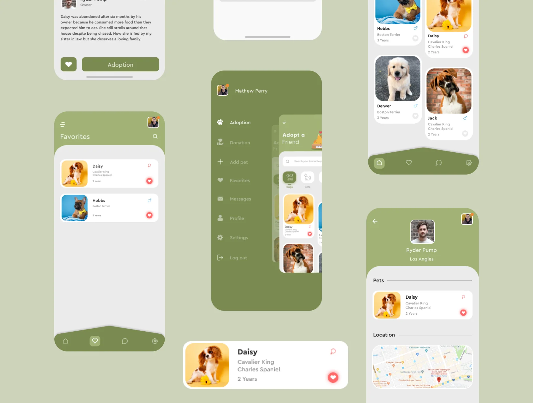 Pet House - Pet Adoption App UI Kit 6