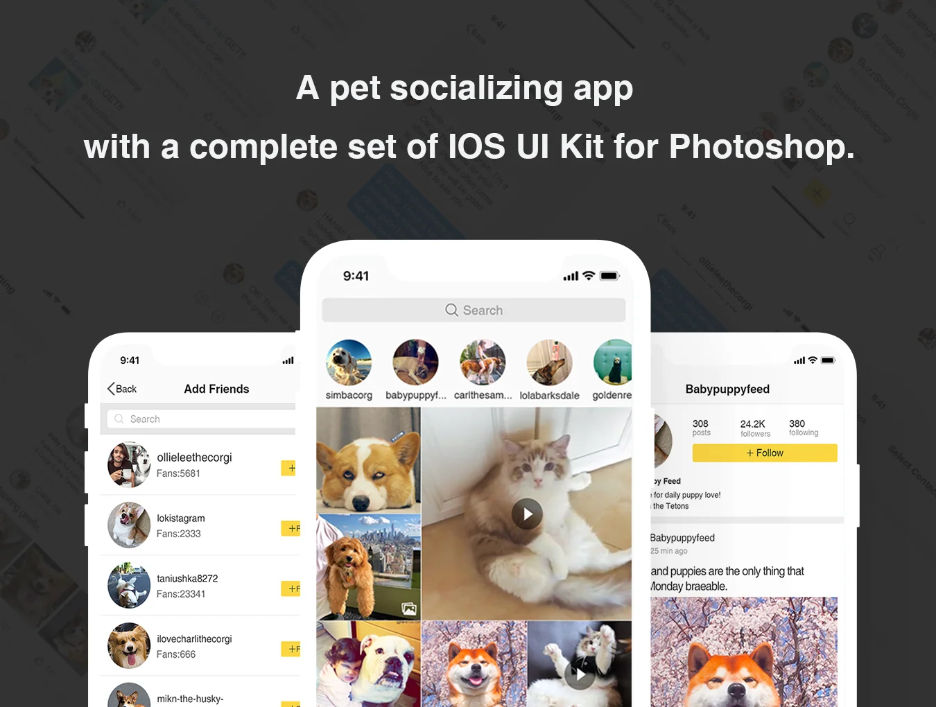 Pet Story UI Kit 2