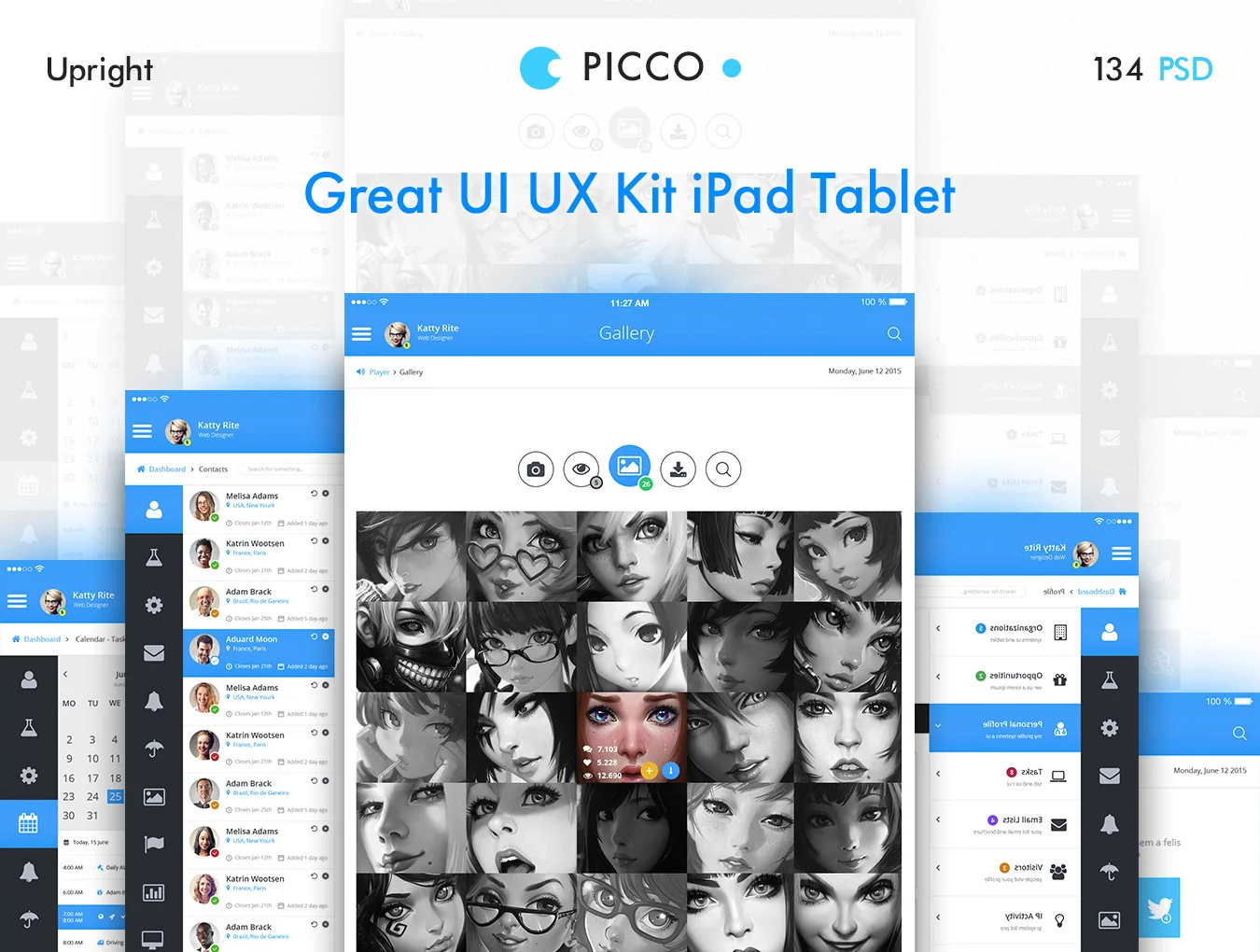 PICCO 3