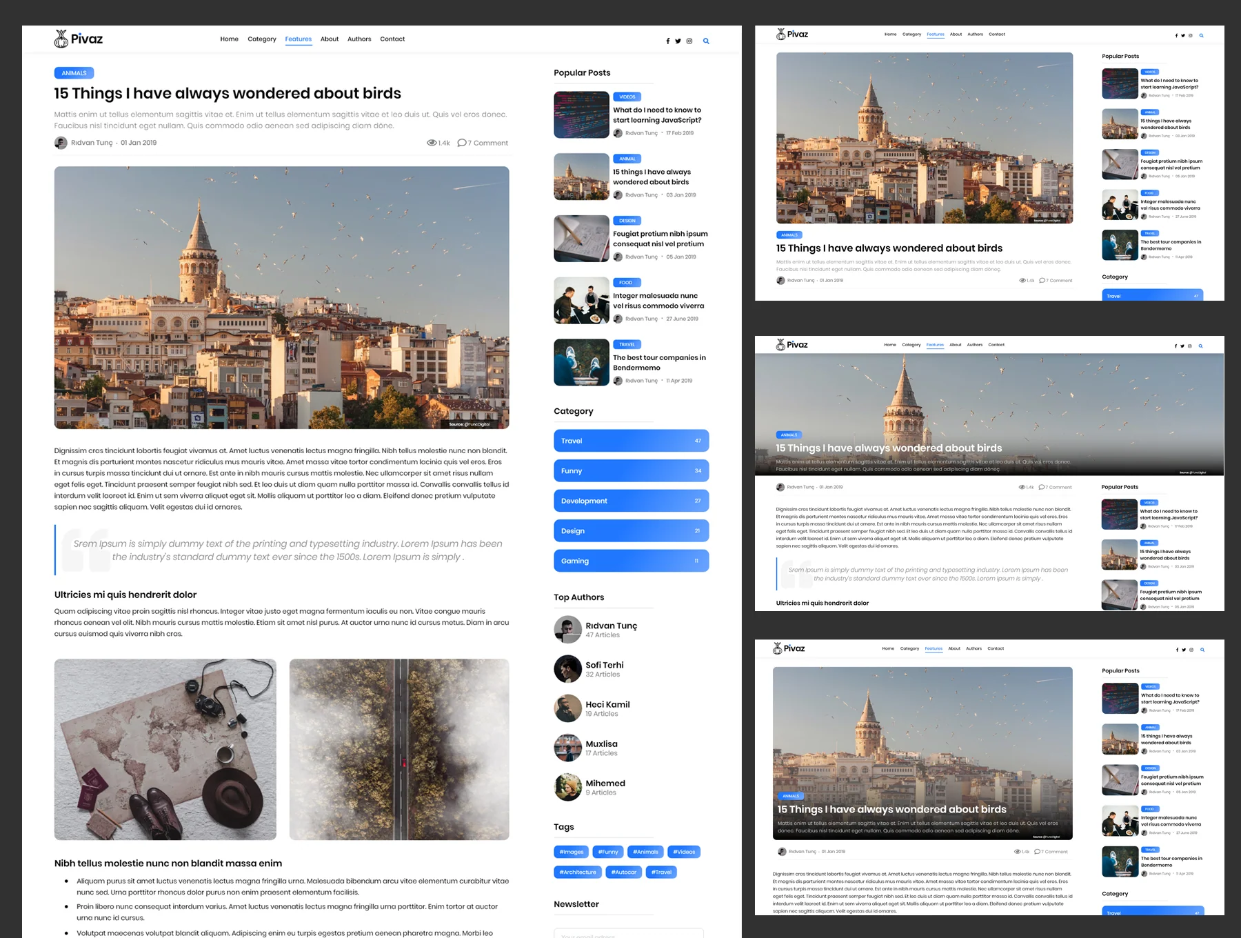Pivaz Blog XD Template 3