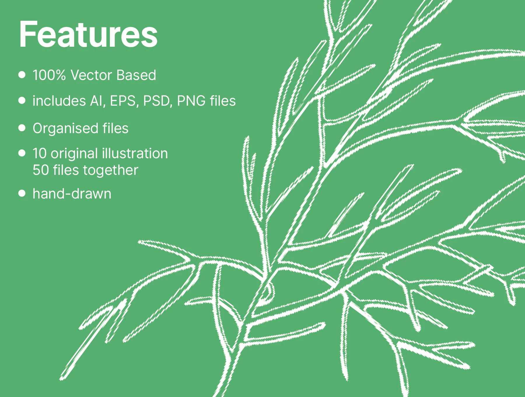 Plant Leaves Illustrations 3