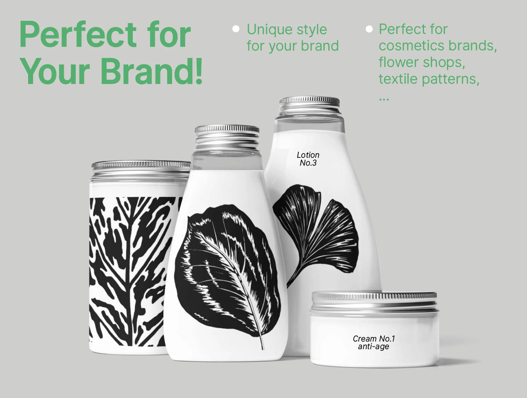 Plant Leaves Illustrations 4
