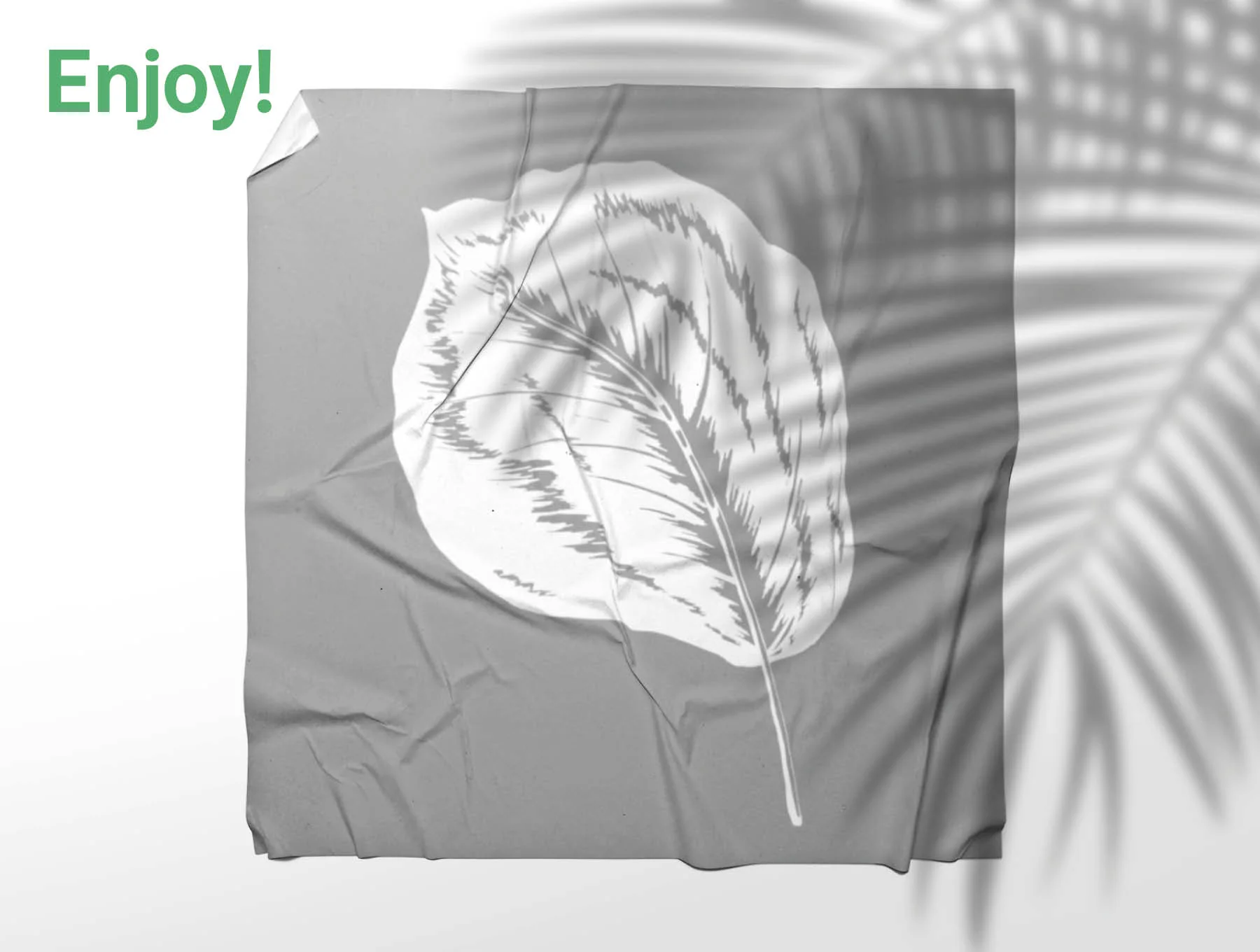 Plant Leaves Illustrations 6