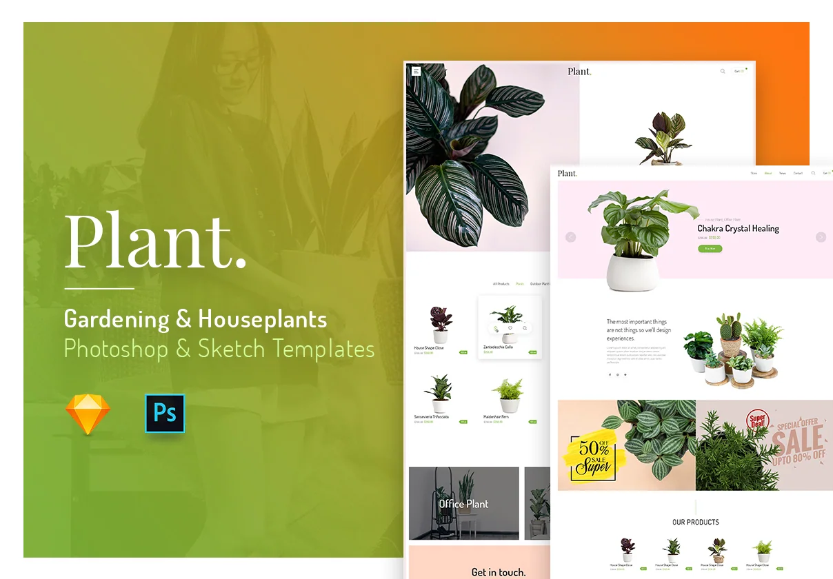 Plant