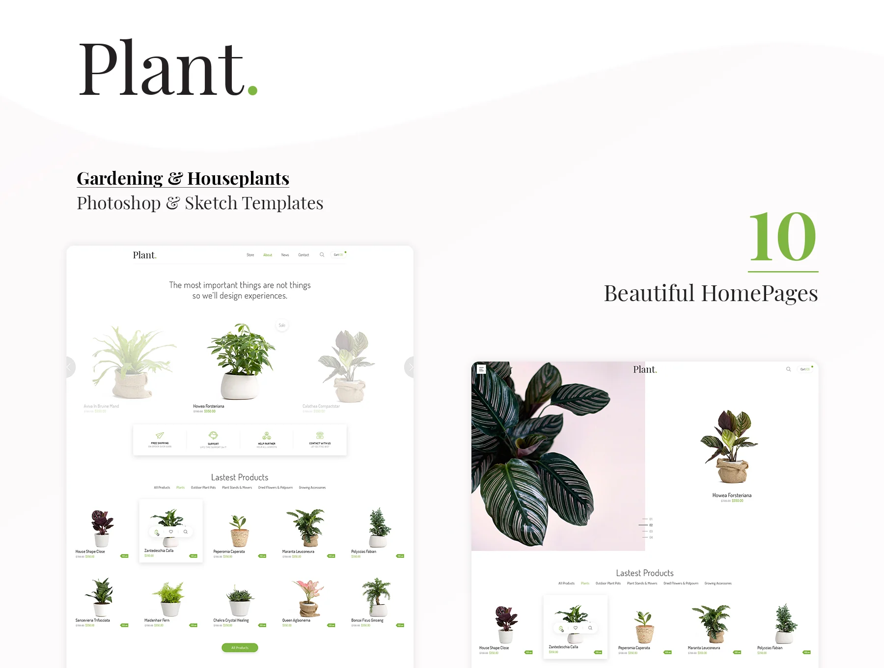 Plant 3