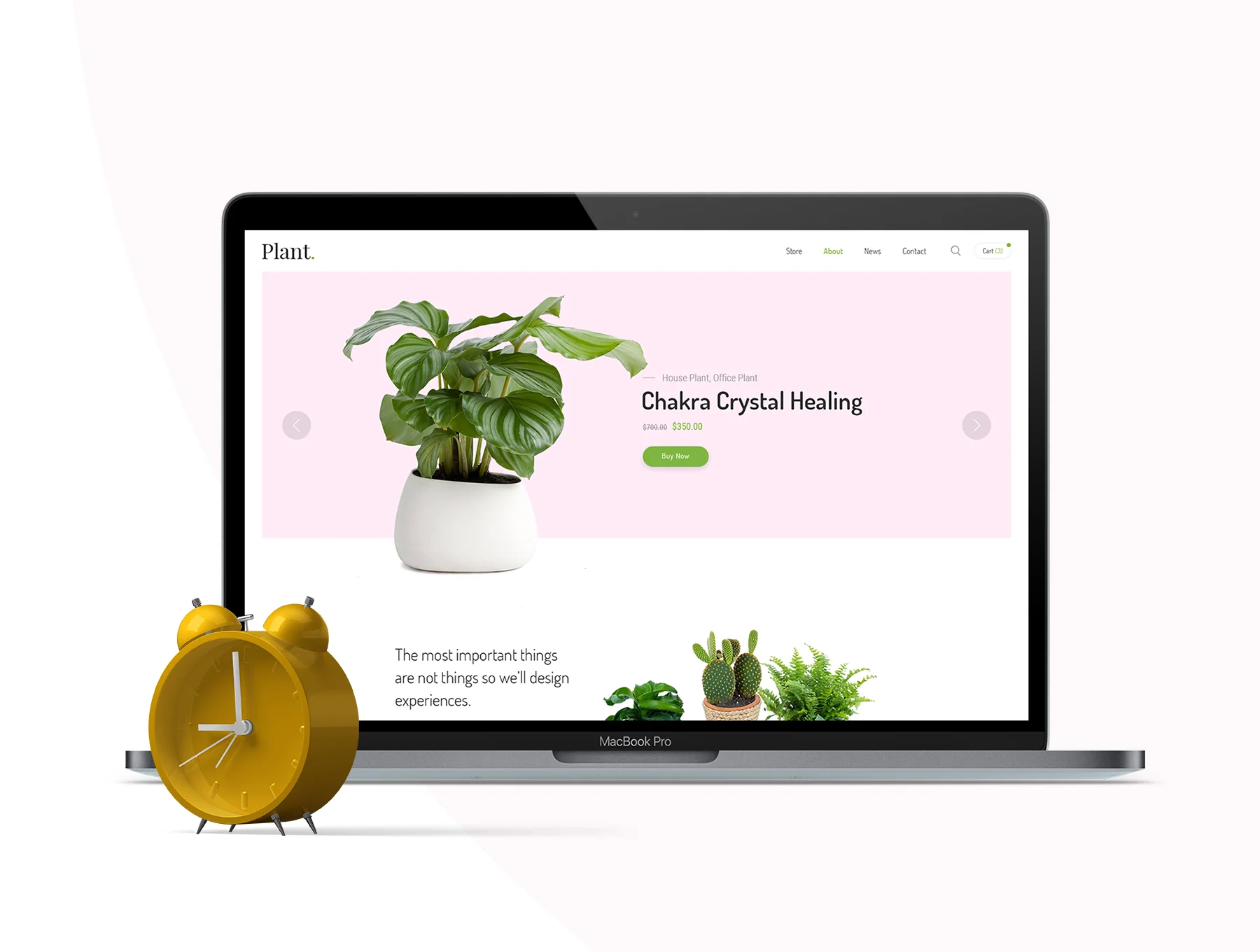 Plant 4