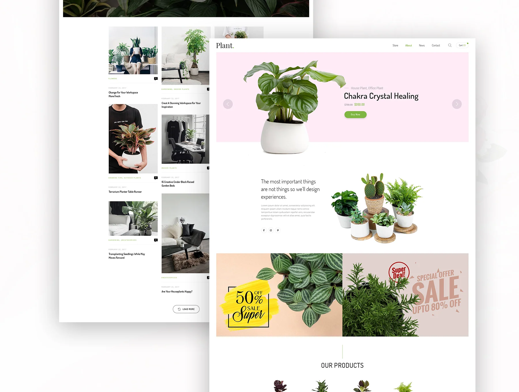Plant 5