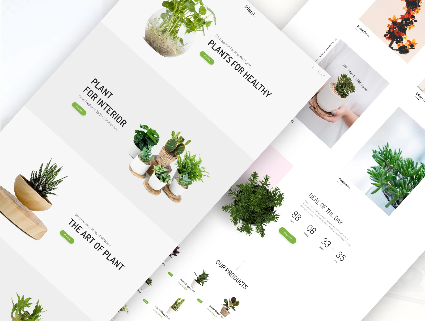 Plant 6