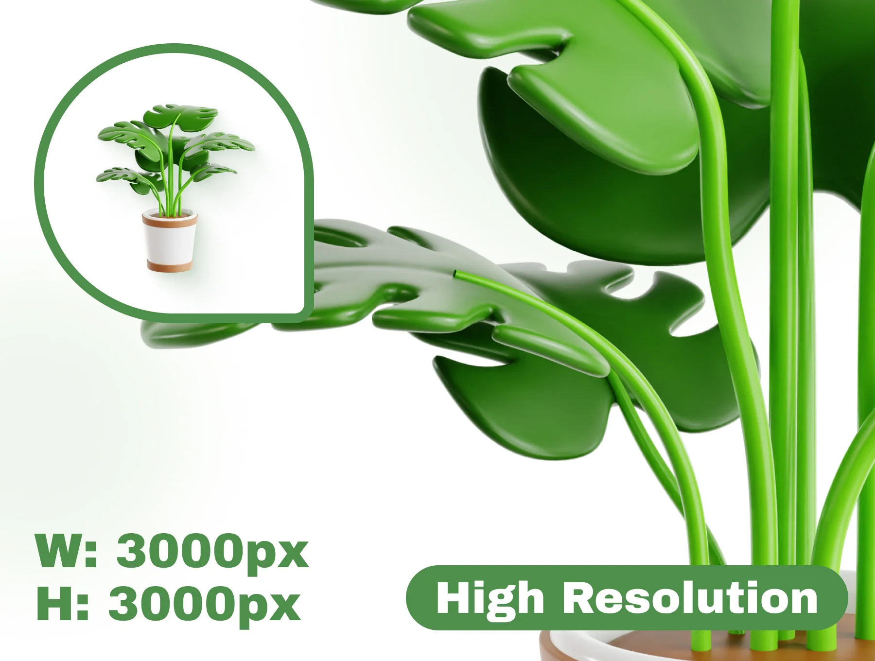 Plants 3D Icon Set 2
