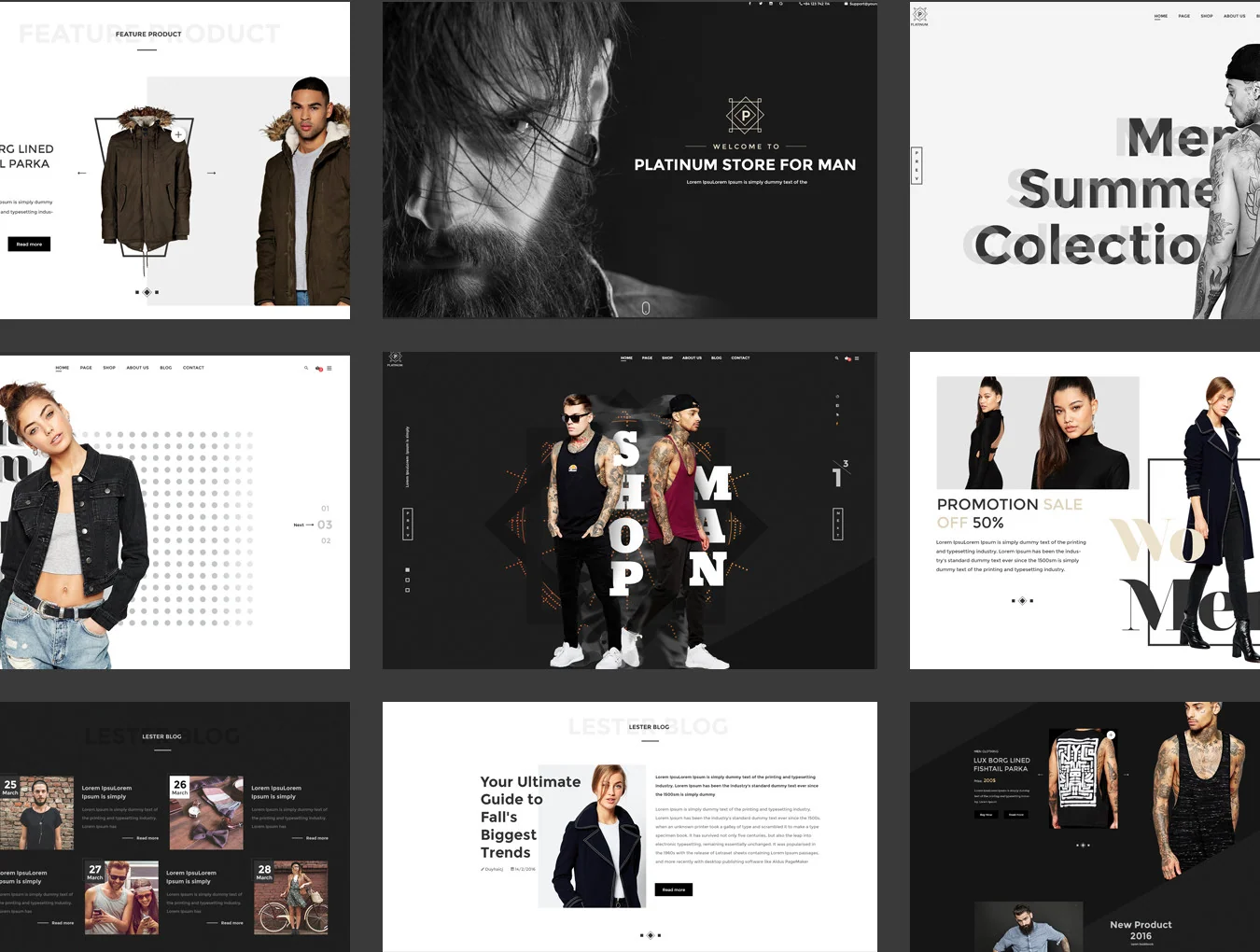 Platinum PSD Template 5