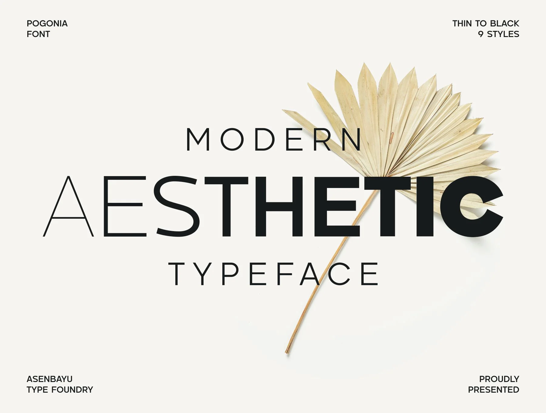 Pogonia Font Family 3