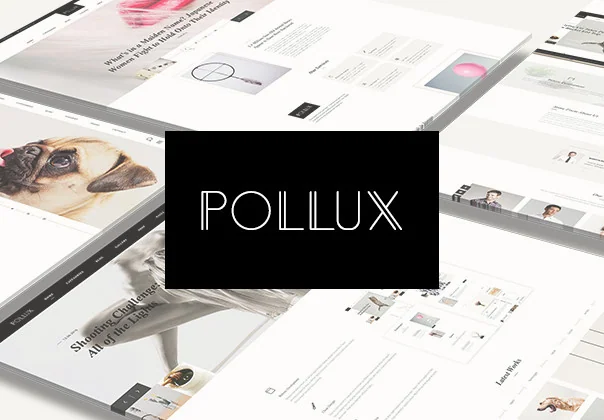 Pollux UI Kit
