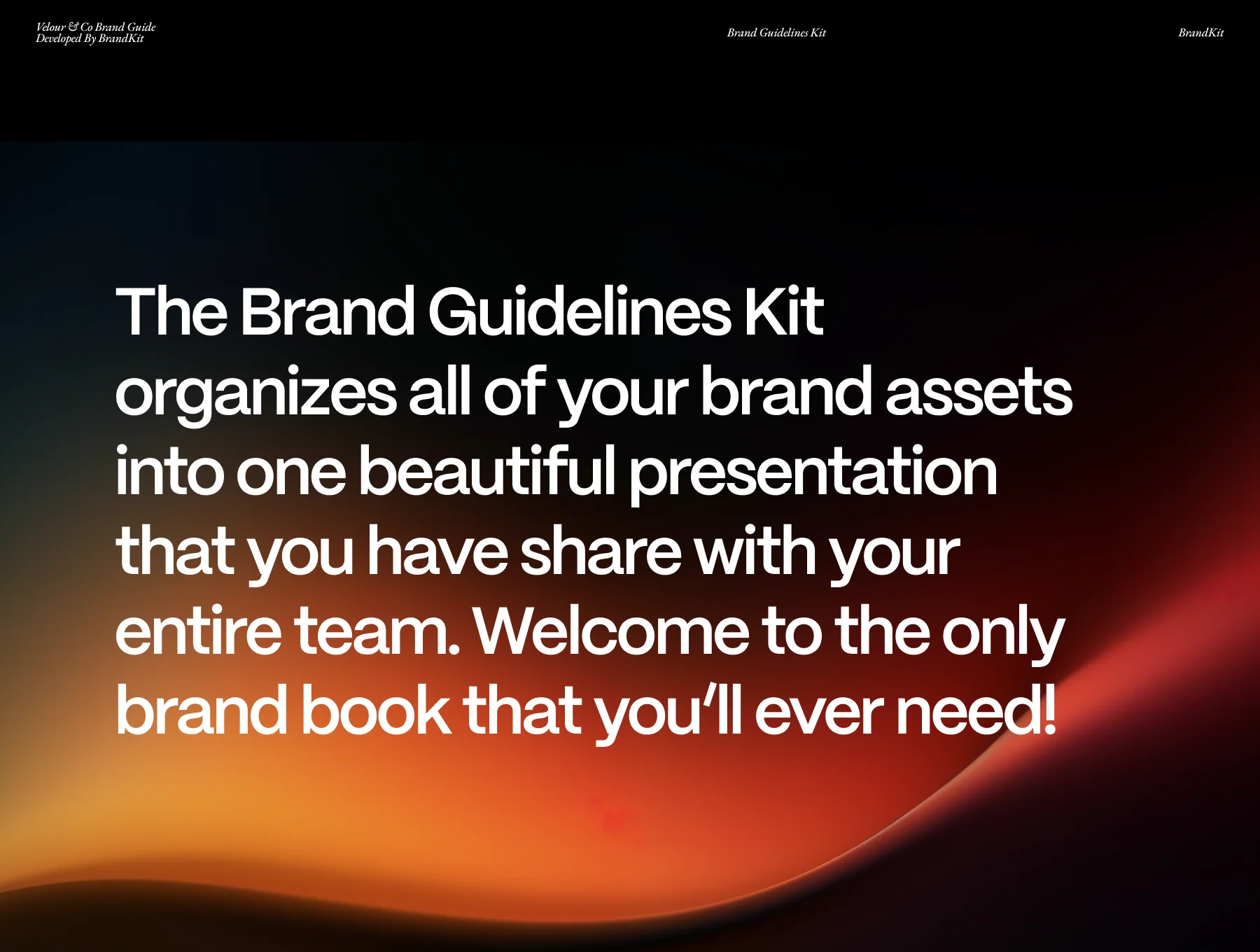 Premium Brand Guidelines System 2