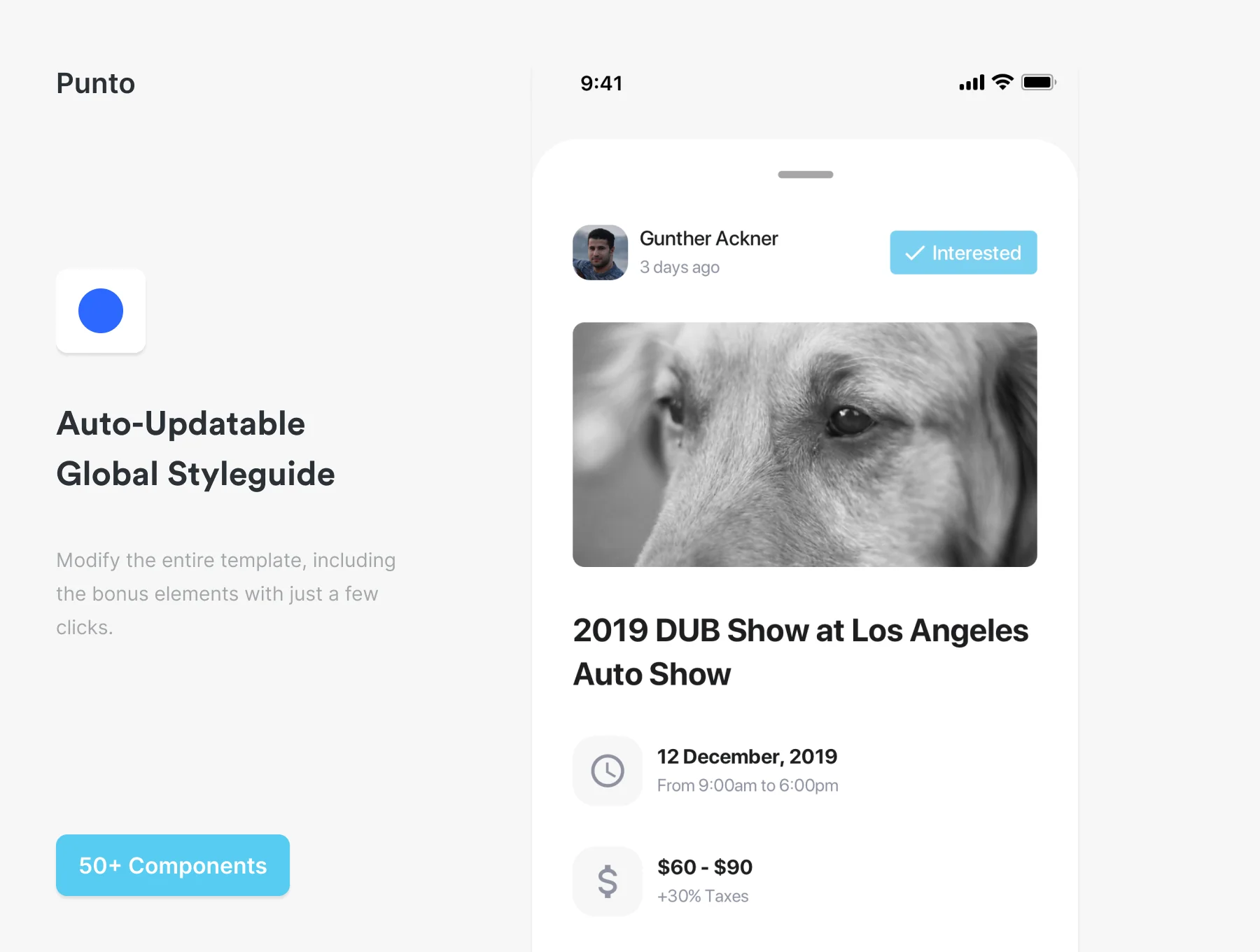 Punto UI Kit 6