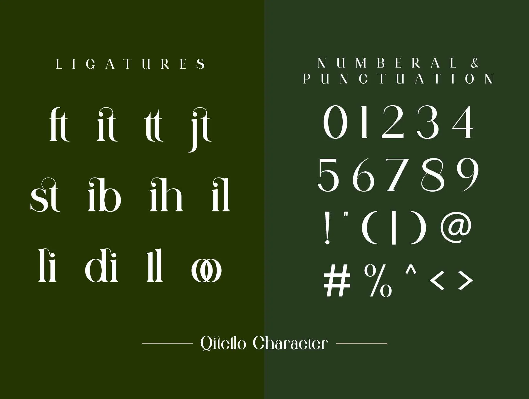 Qitello Ligature Serif Typeface 9