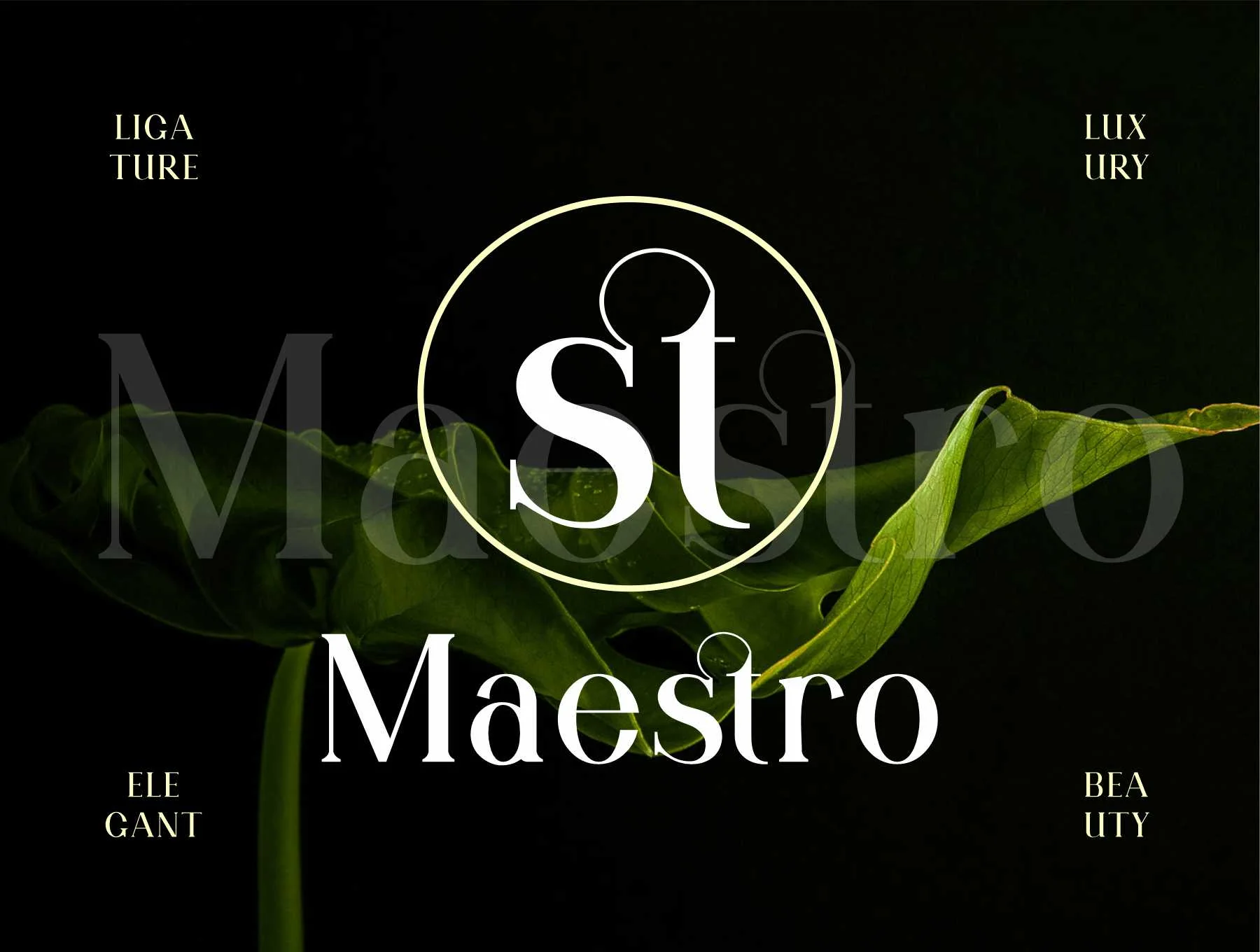 Qitello Ligature Serif Typeface 10