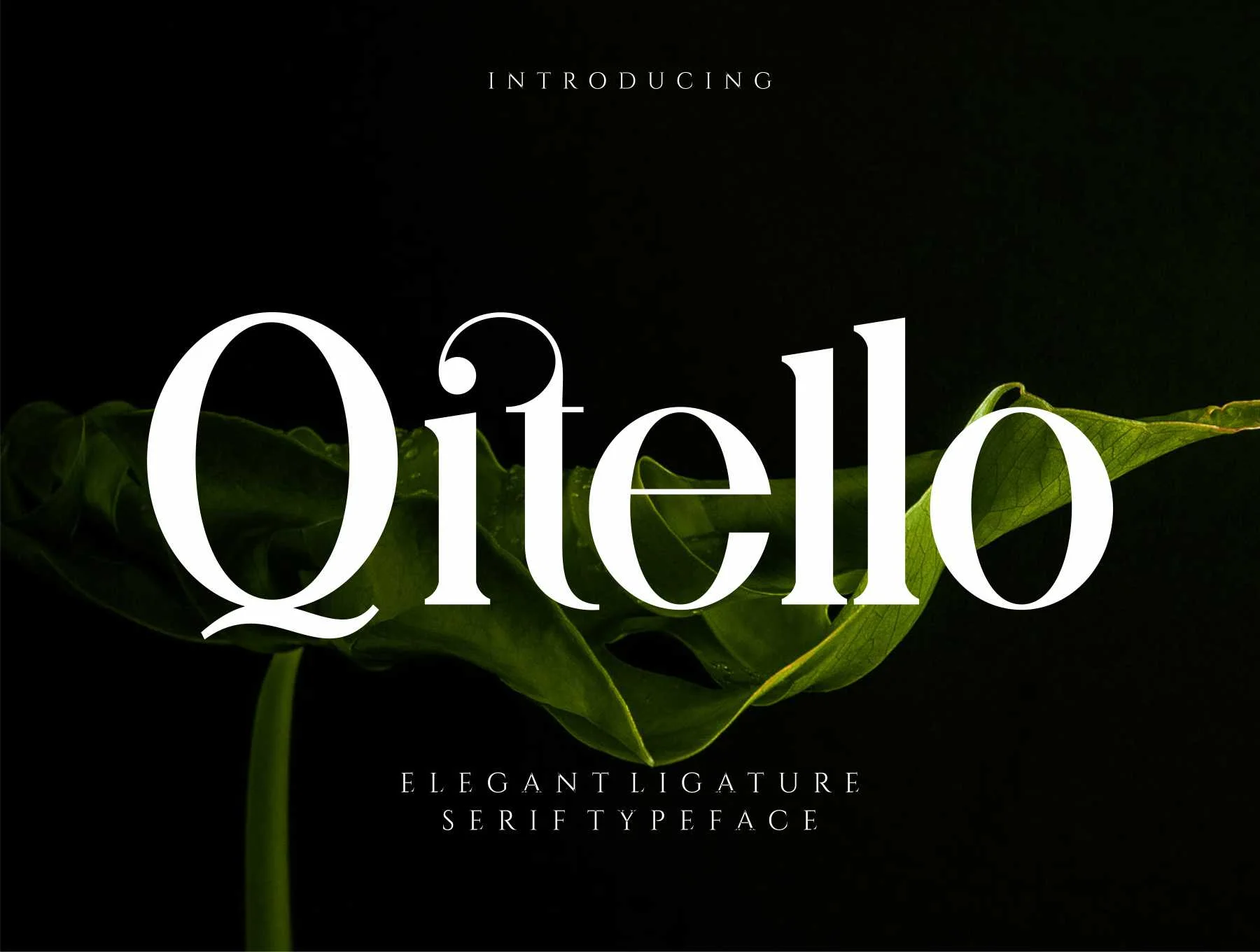 Qitello Ligature Serif Typeface