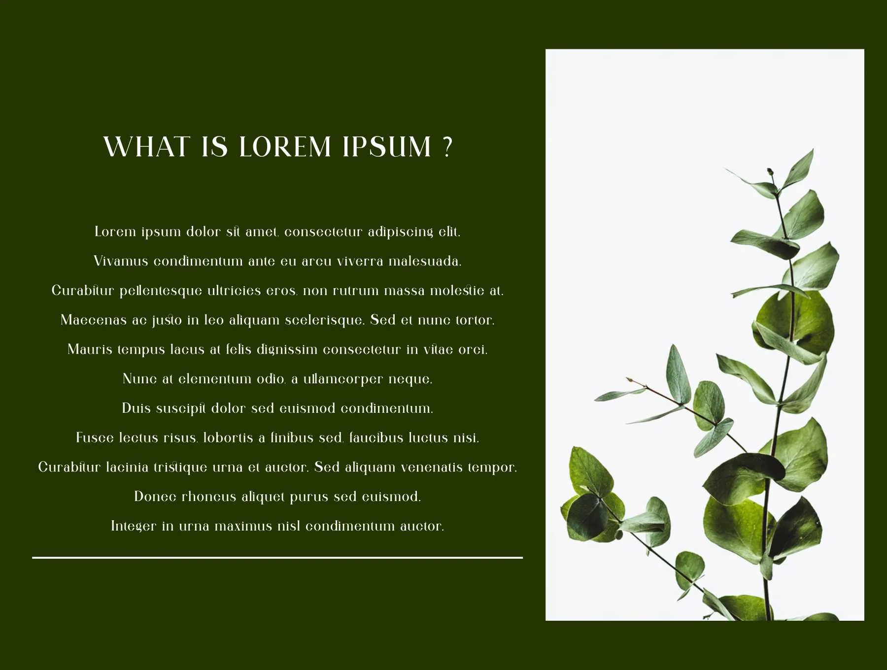 Qitello Ligature Serif Typeface 3