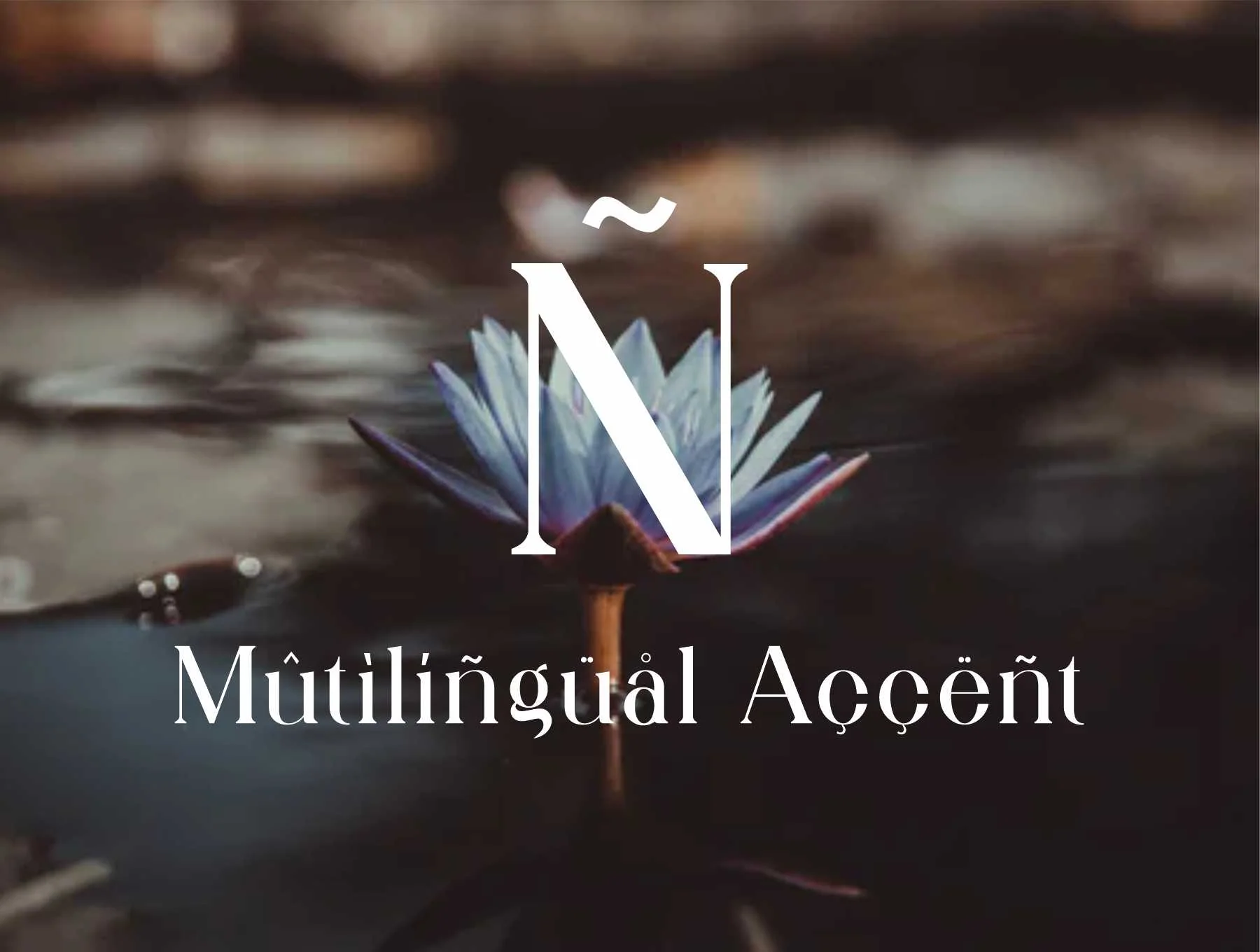 Qitello Ligature Serif Typeface 8