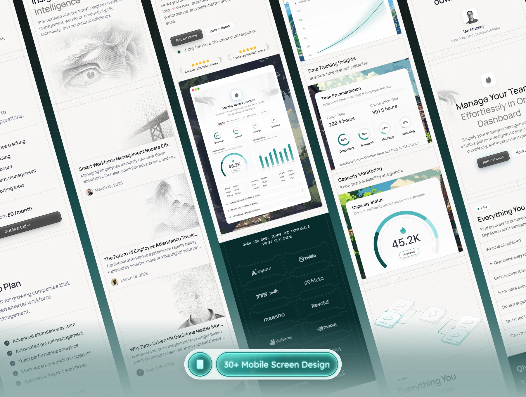 QlyraMine - SaaS Web Templates 3