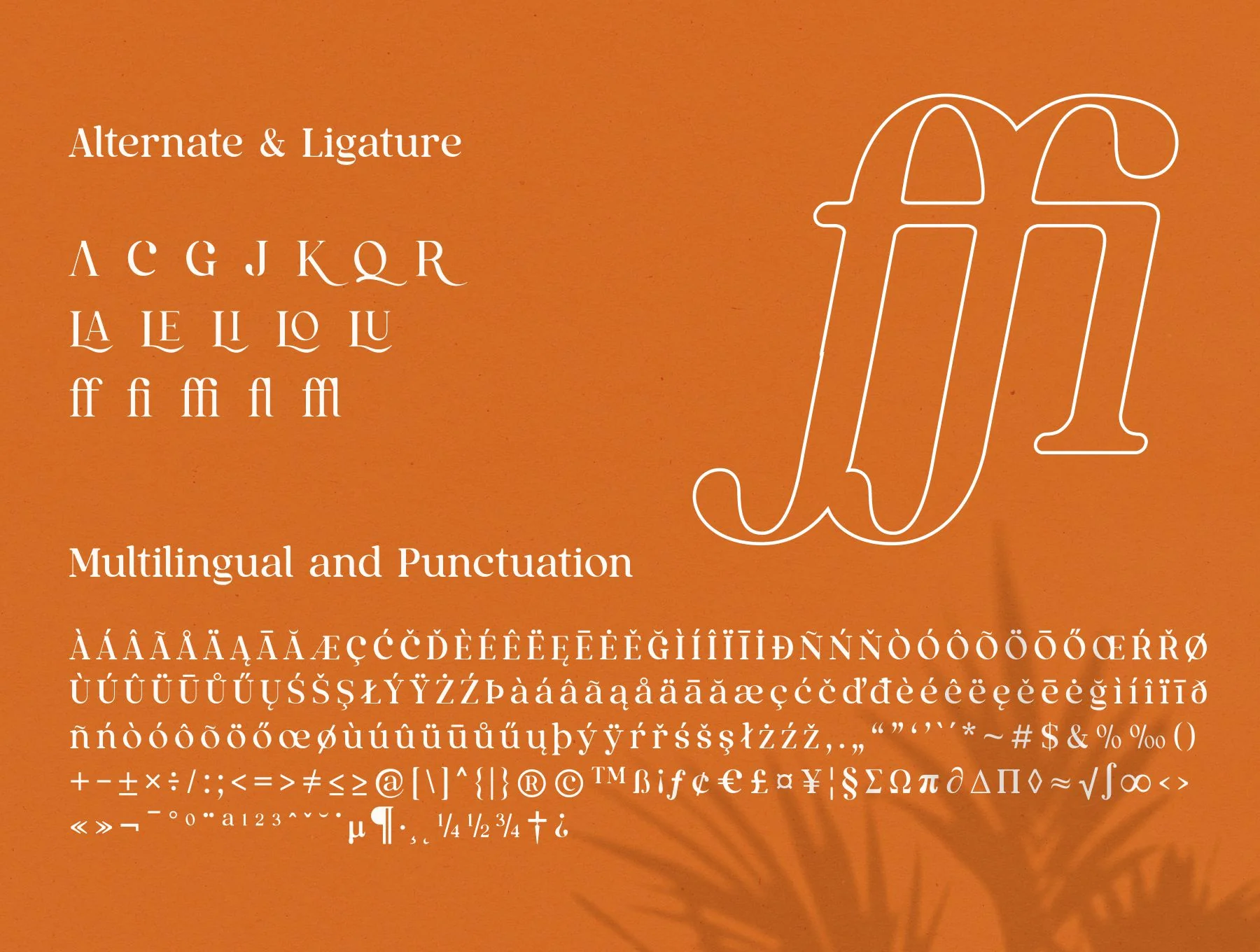 Qualux Fonts Family 10
