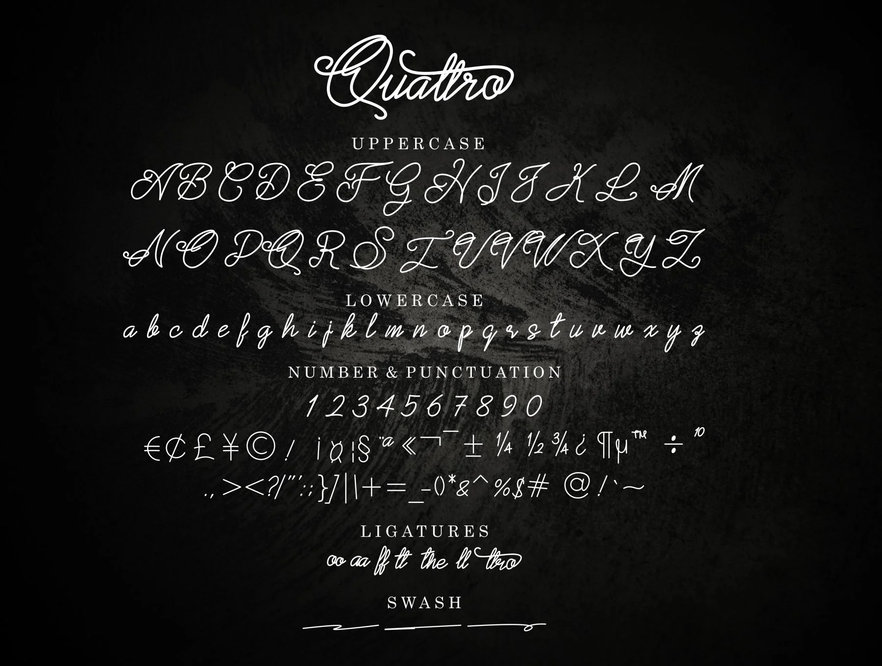Quattro Script Font 2
