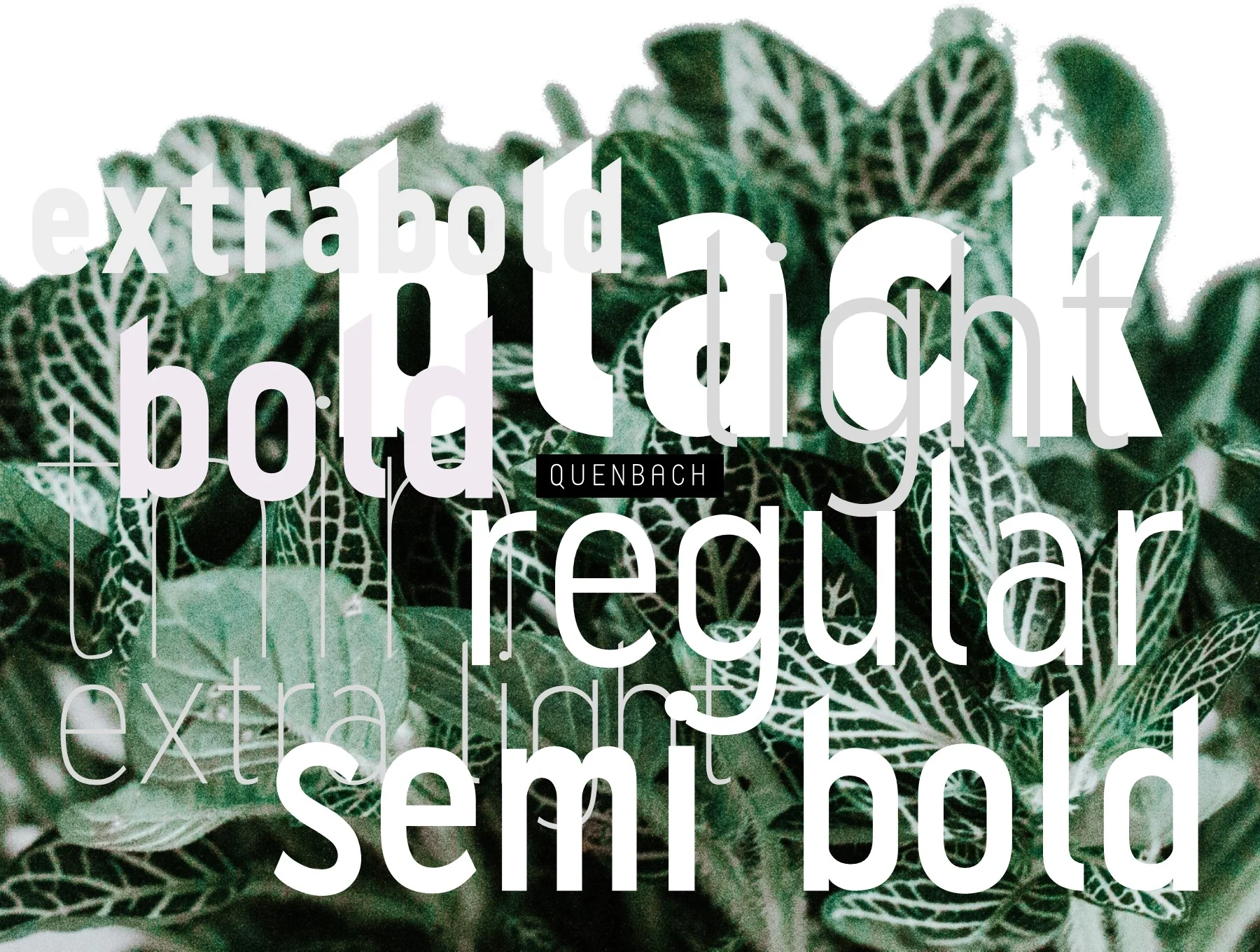 Quenbach Condensed Font Family 3
