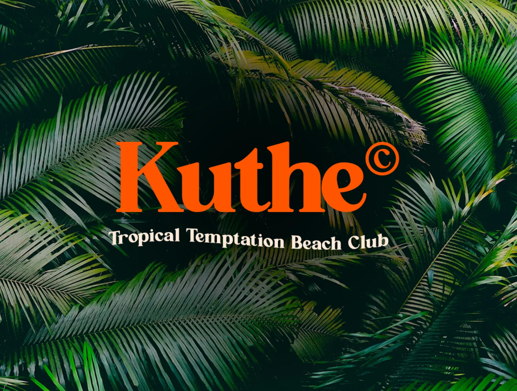 Qufego Stylish Serif Font 2