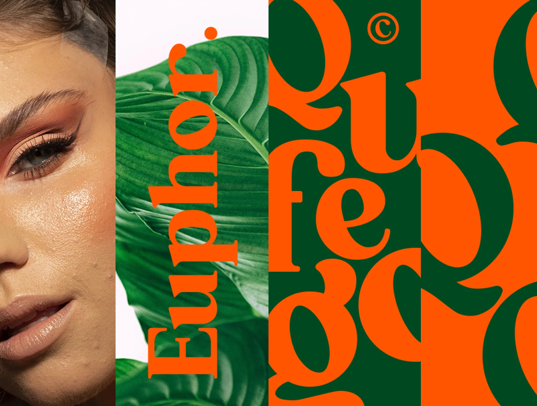 Qufego Stylish Serif Font 3