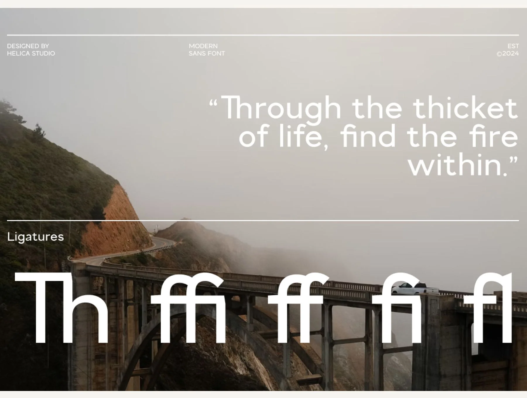 Quokka Modern Sans Serif Font 7