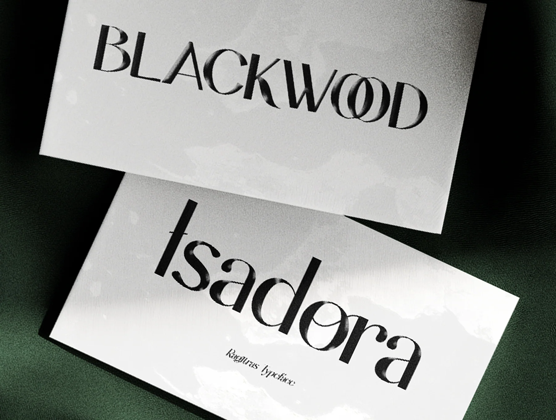 Ragitras - Elegant Modern Sans Serif 8