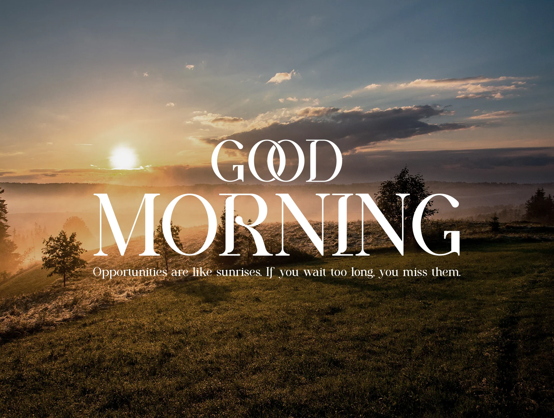 Reliora Modern Serif 4