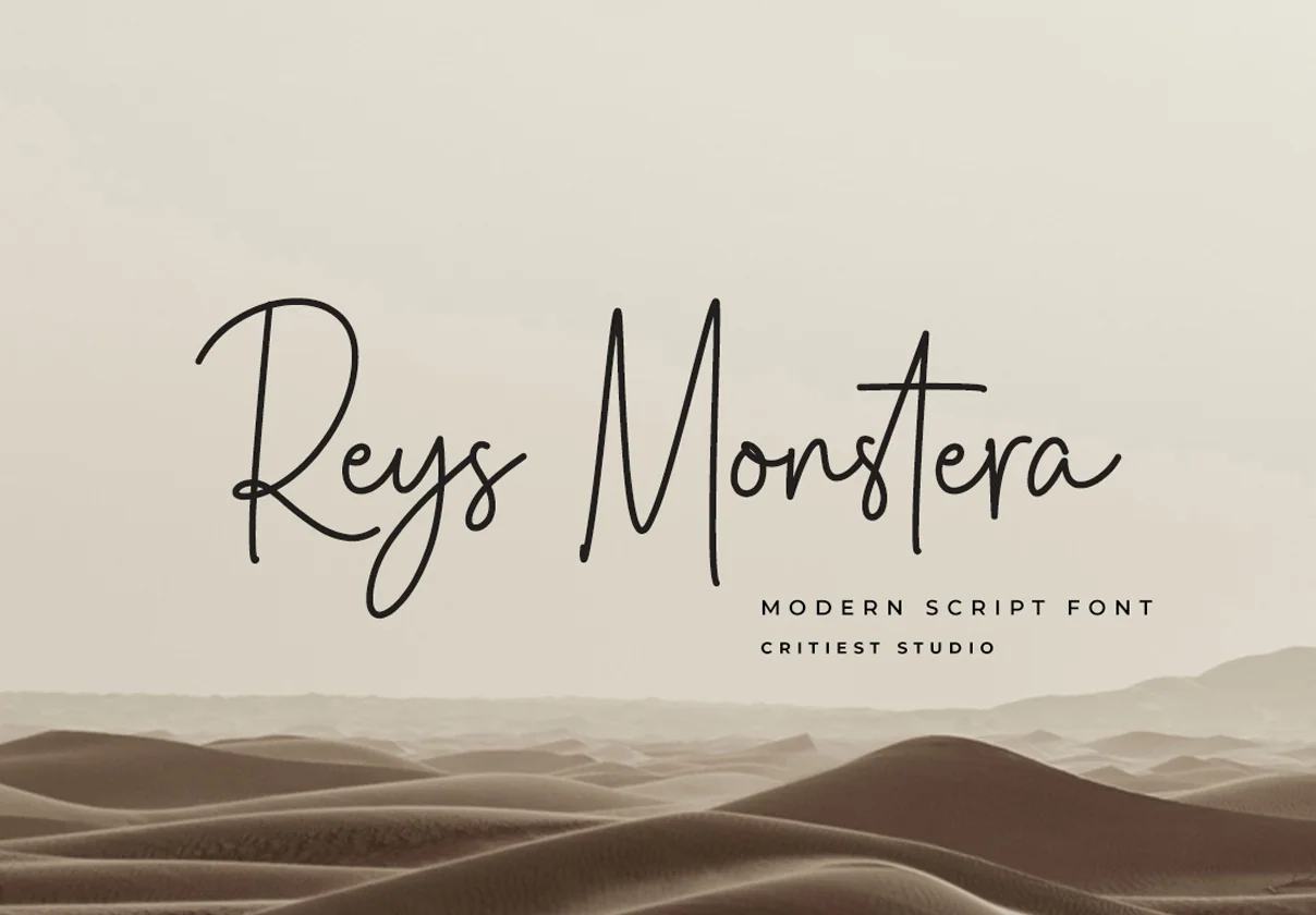 Reys Monstera