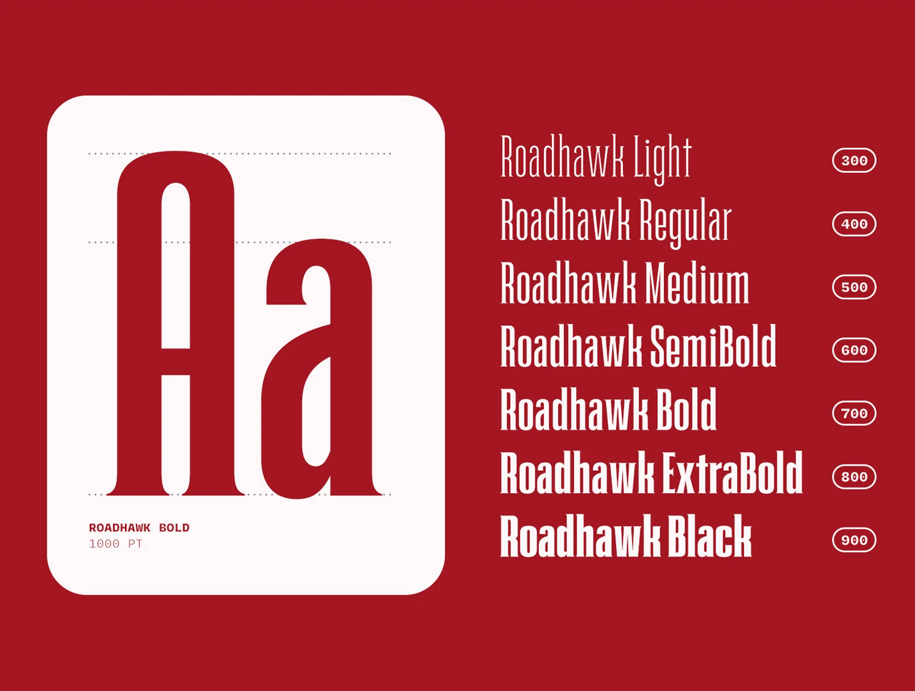 Roadhawk 3