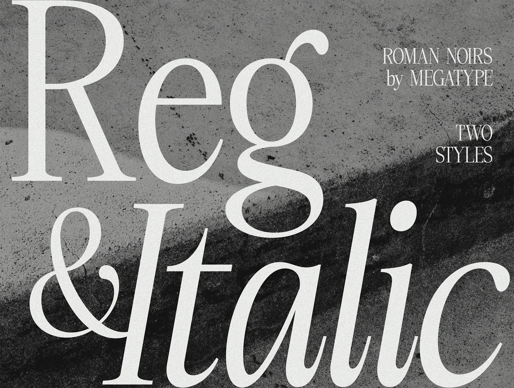Roman Noirs 3