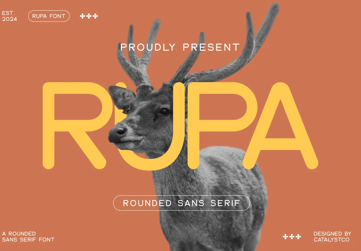 Rupa