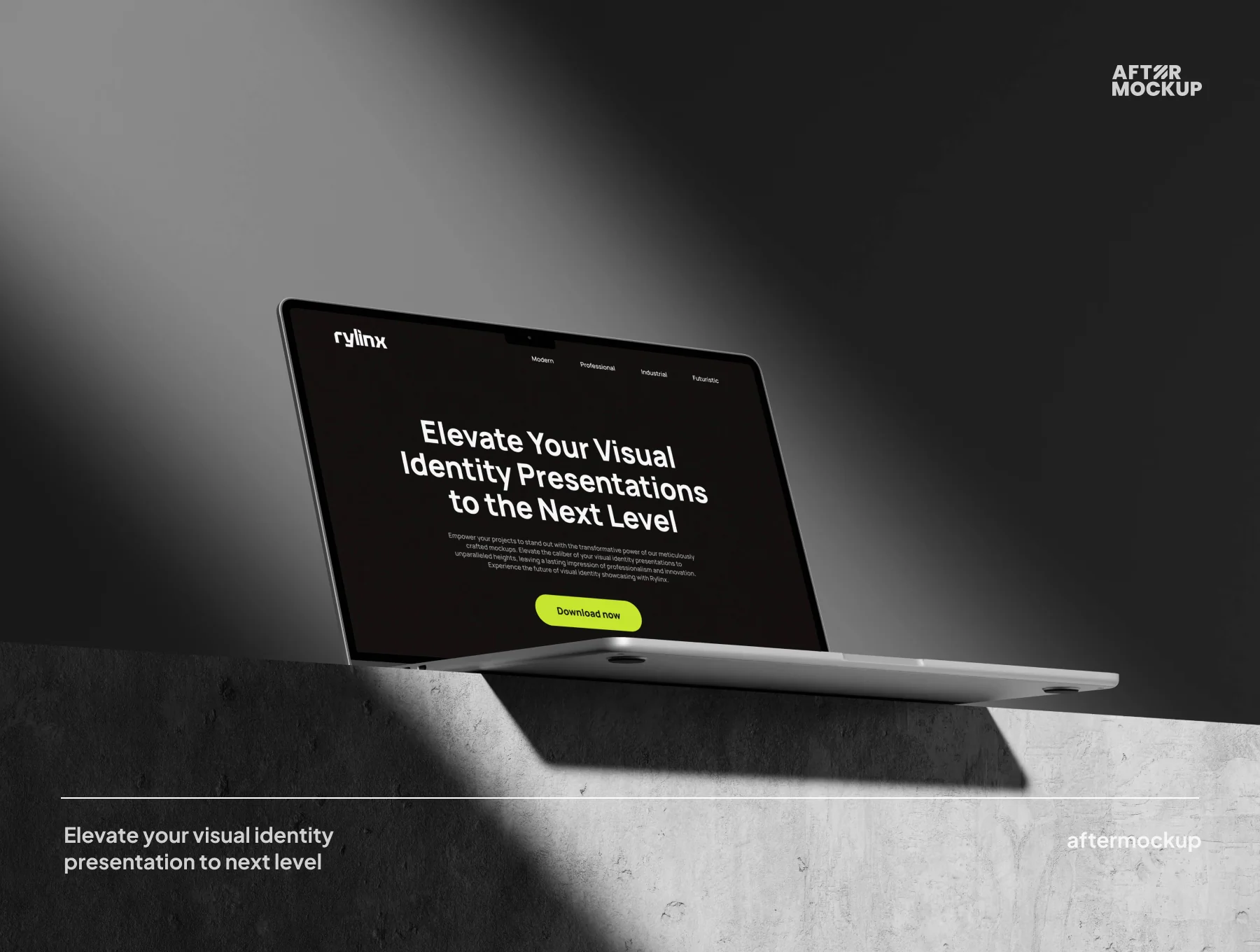 Rylinx Device Mockups