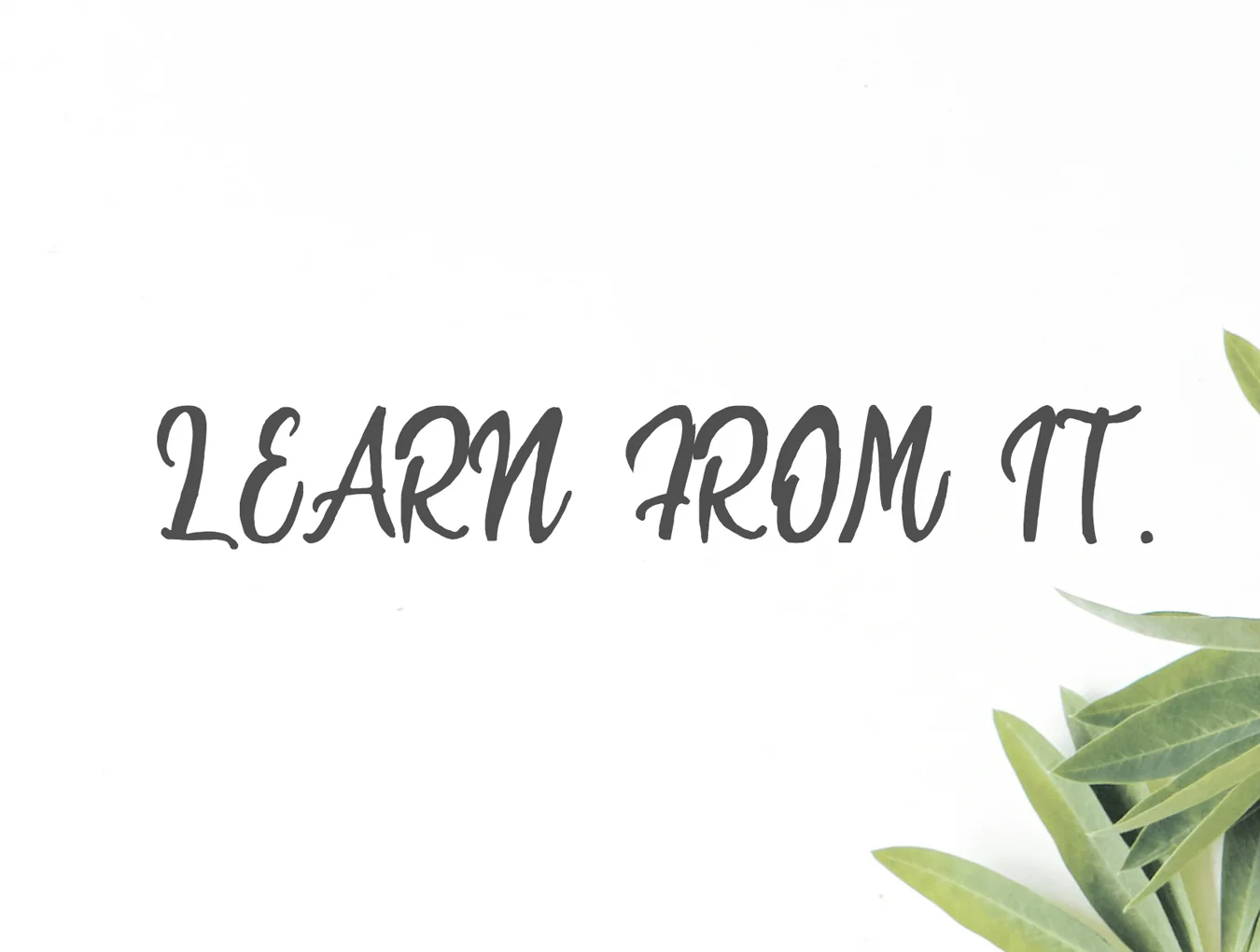 Saarah Fresh Font 4