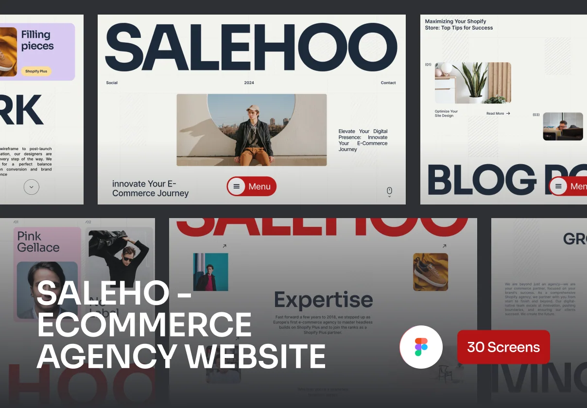 Salehoo - Ecommerce Agency Website