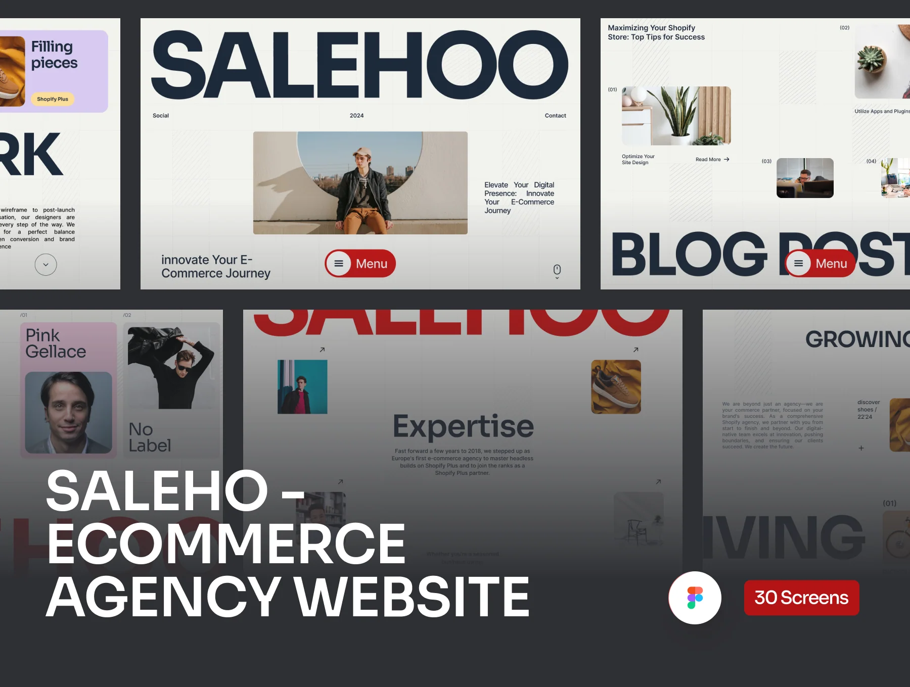 Salehoo - Ecommerce Agency Website