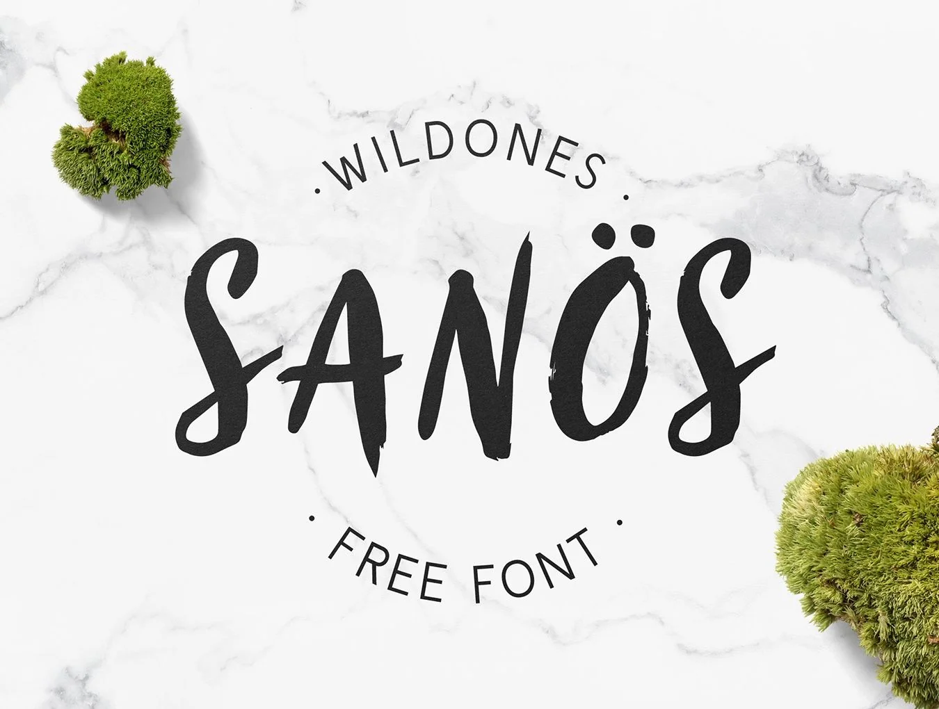 Sanös Brush Script