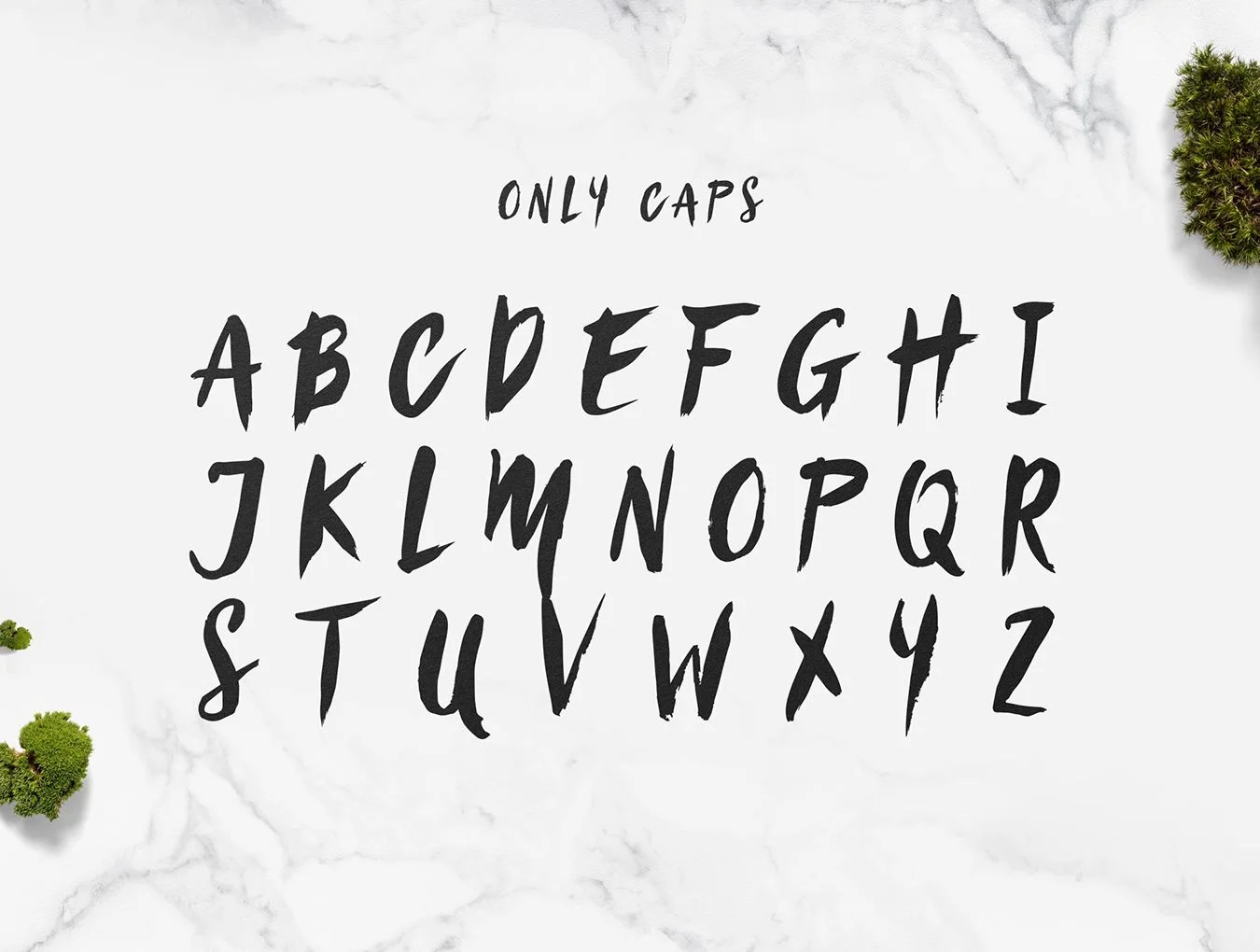 Sanös Brush Script 3