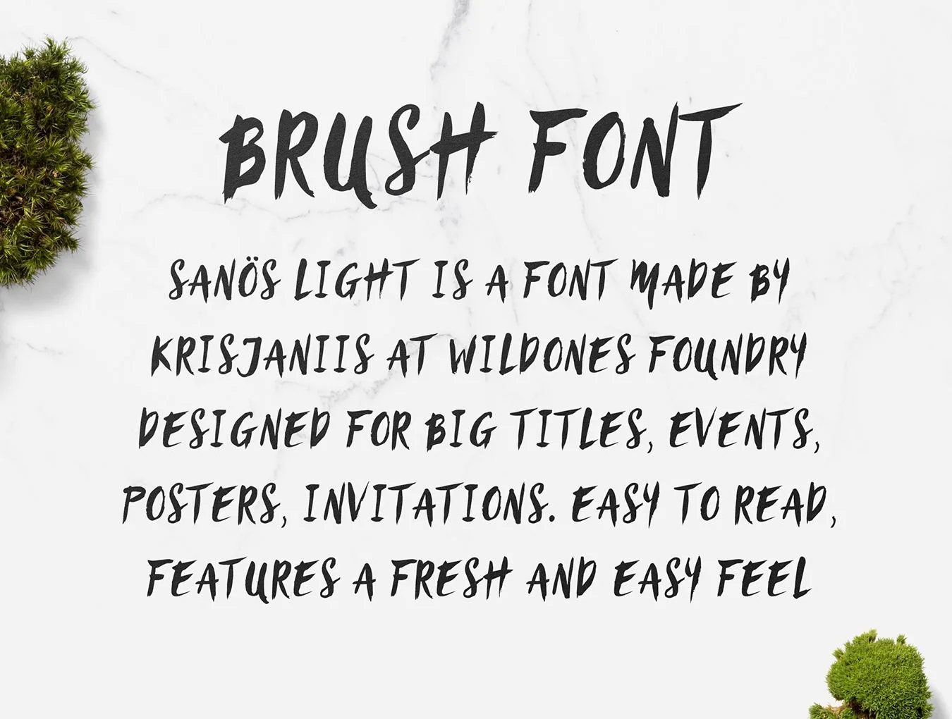 Sanös Brush Script 5