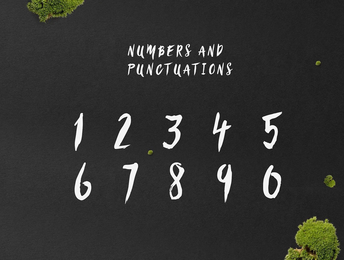 Sanös Brush Script 6