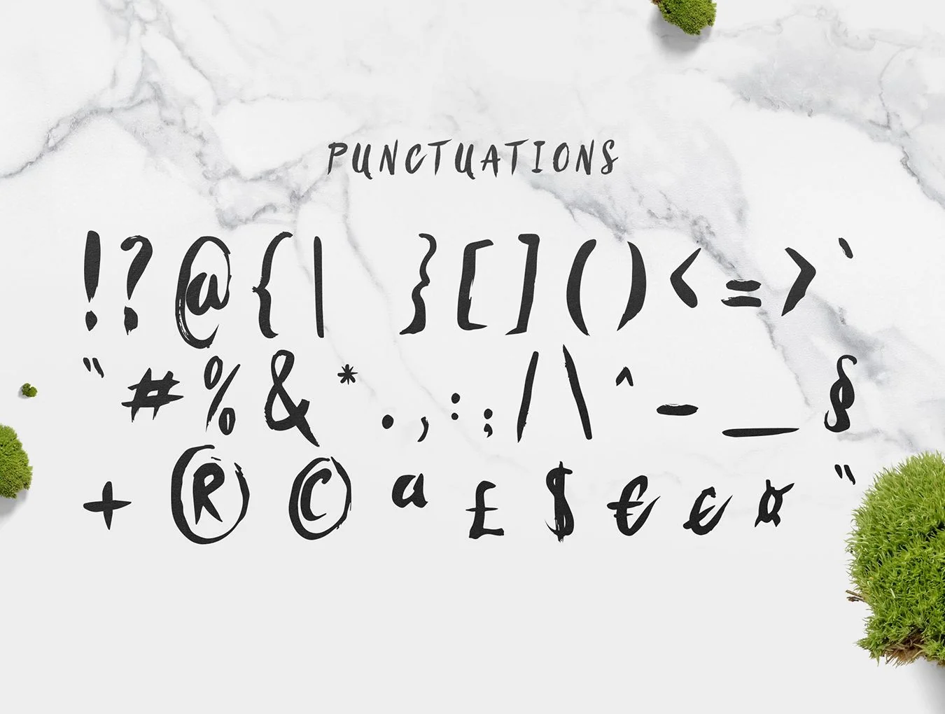 Sanös Brush Script 7