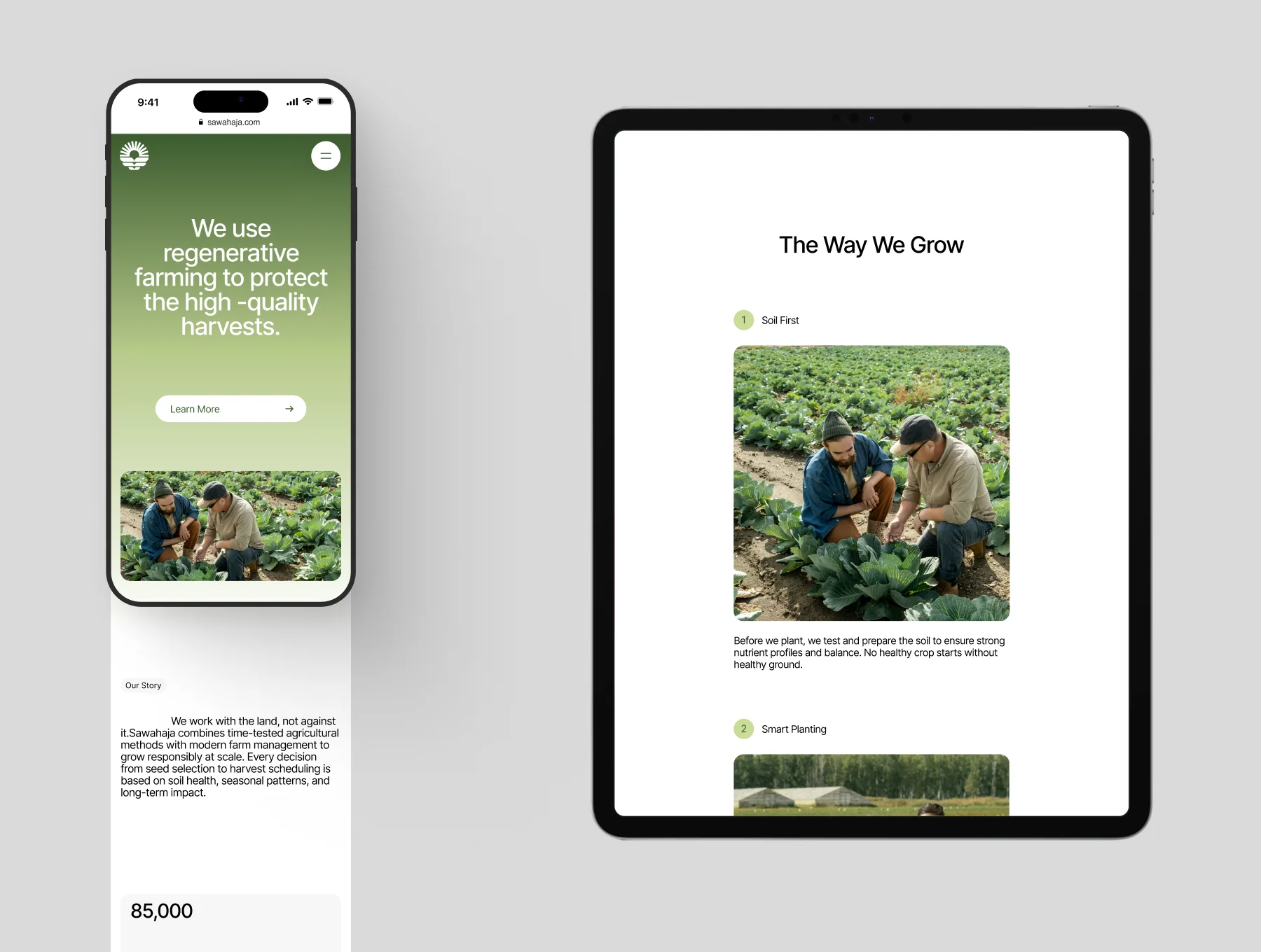 Sawahaja - Agriculture Website Template 2