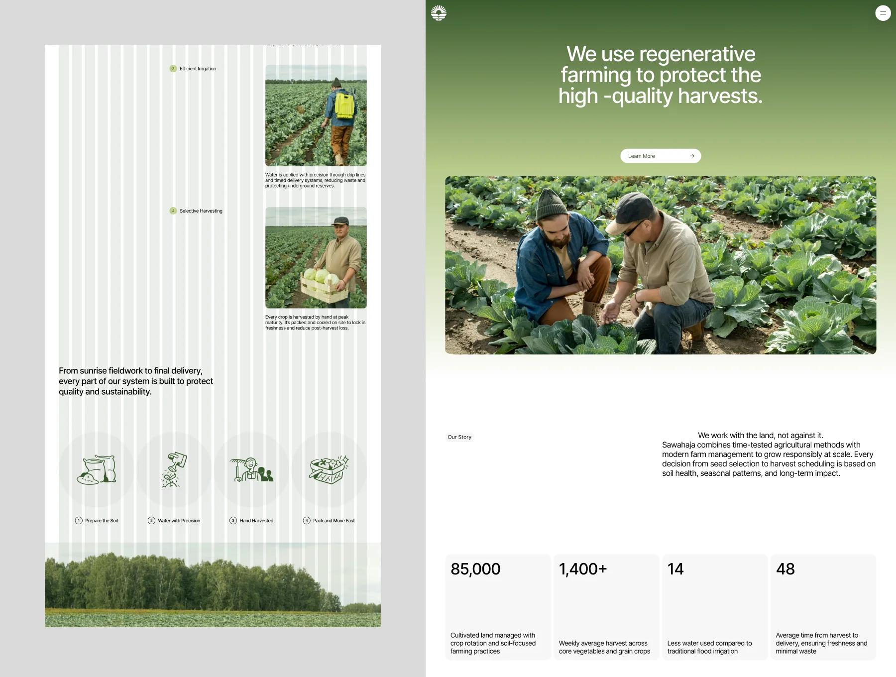Sawahaja - Agriculture Website Template 3