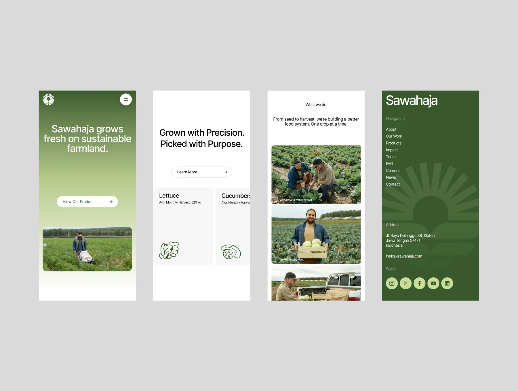 Sawahaja - Agriculture Website Template 4