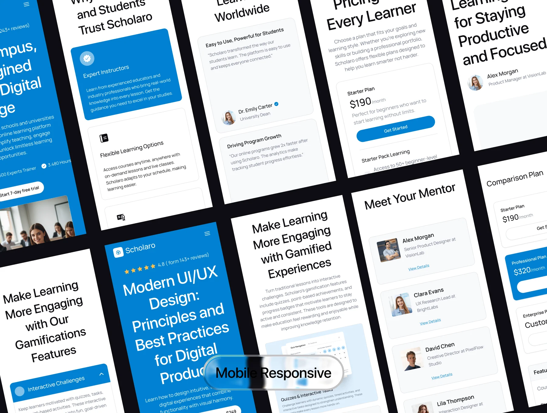 Scholaro - Online Learning Platform Website UI Kit 5
